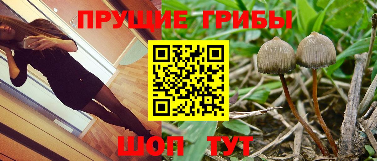 Домодедово  где купить наркоту  Галлюциногенные грибы MAGIC MUSHROOMS  Вход с VPN  Псилоцибиновые грибы мицелий 